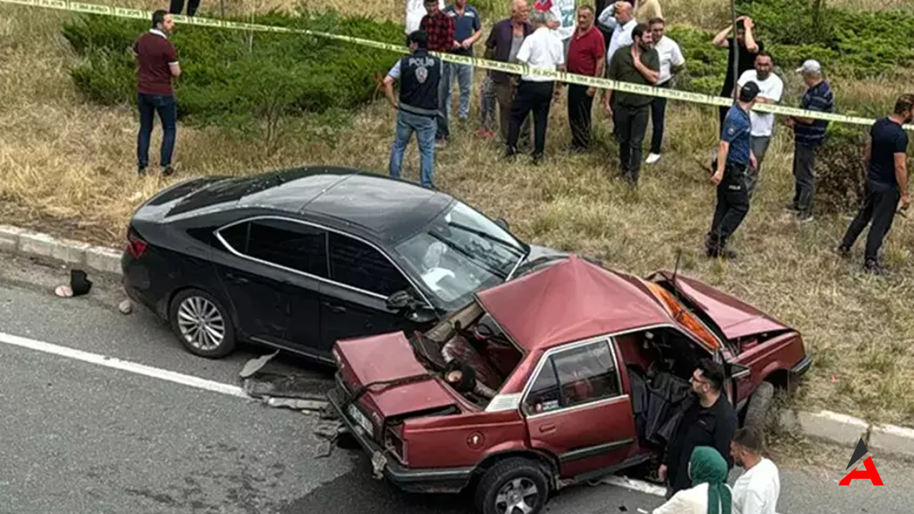 Gümüşhane’de Feci Kaza: Yaşlı Çift Hayatını Kaybetti, Torunları Yaralandı