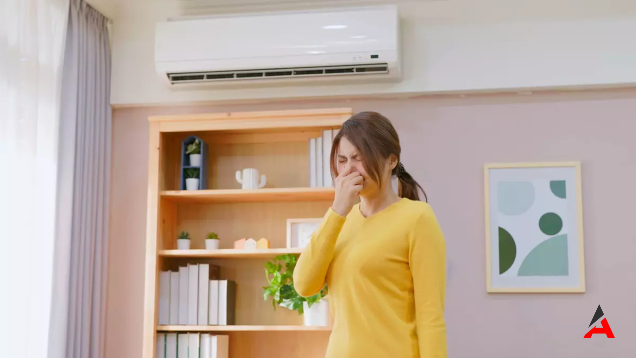 Klima Neden Koku Yapar? Sorunun Kaynakları ve Çözüm Önerileri