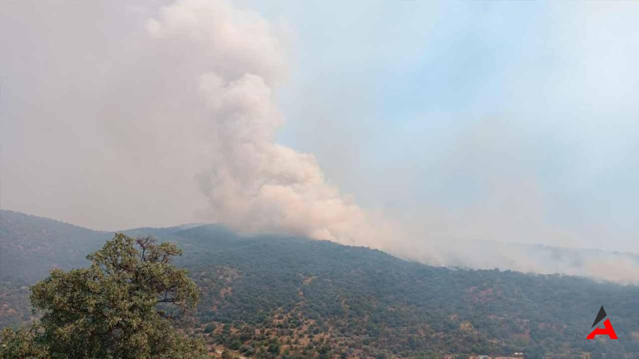 Manisa’da Orman Yangını: Alevlere Havadan ve Karadan Müdahale Devam Ediyor