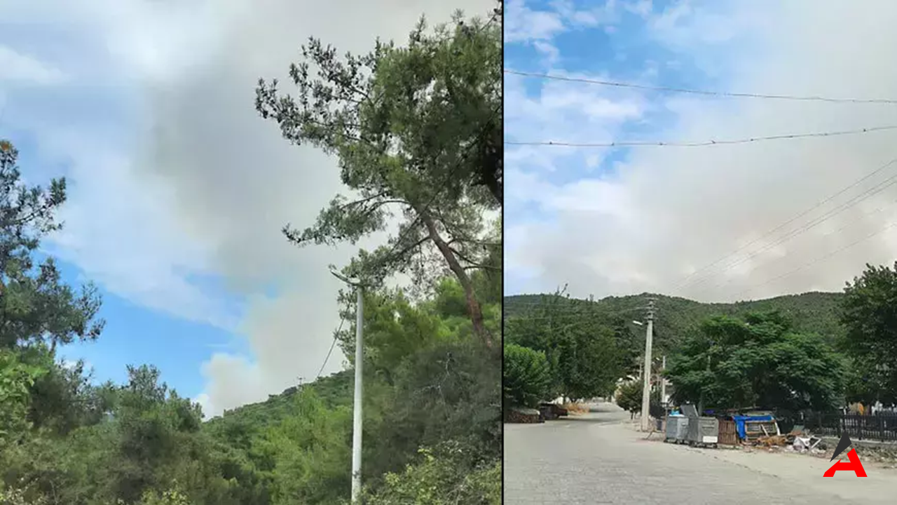 Rüzgarın Körüklediği Alevler Yalova’yı Tehdit Ediyor: Armutlu’da Orman Yangını Büyüyor
