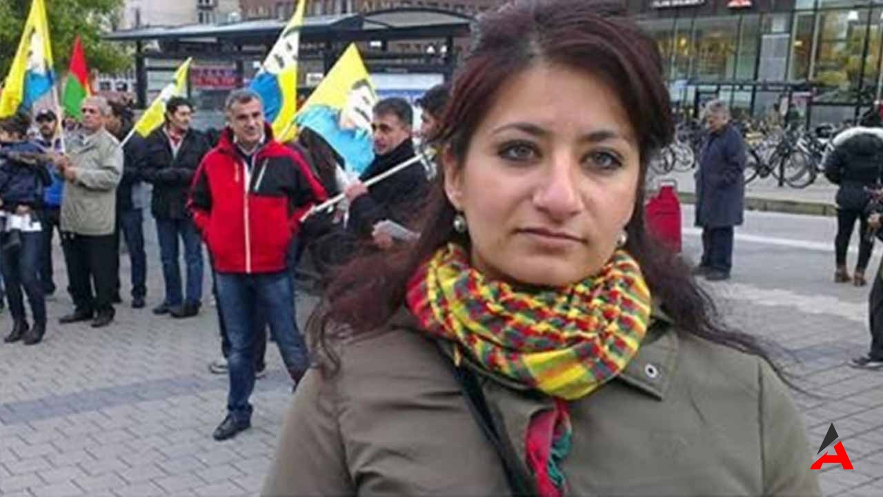 Mardin’de Büyük Operasyon: İsveç Vatandaşı PKK/KCK Üyesi Yakalandı!