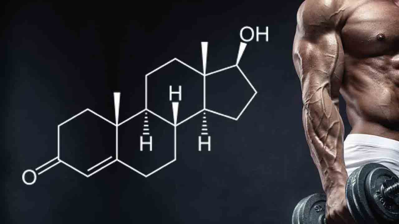 Testosteronun Erkek Beynindeki Rolü: Hormonlar Davranışları Nasıl Şekillendirir?