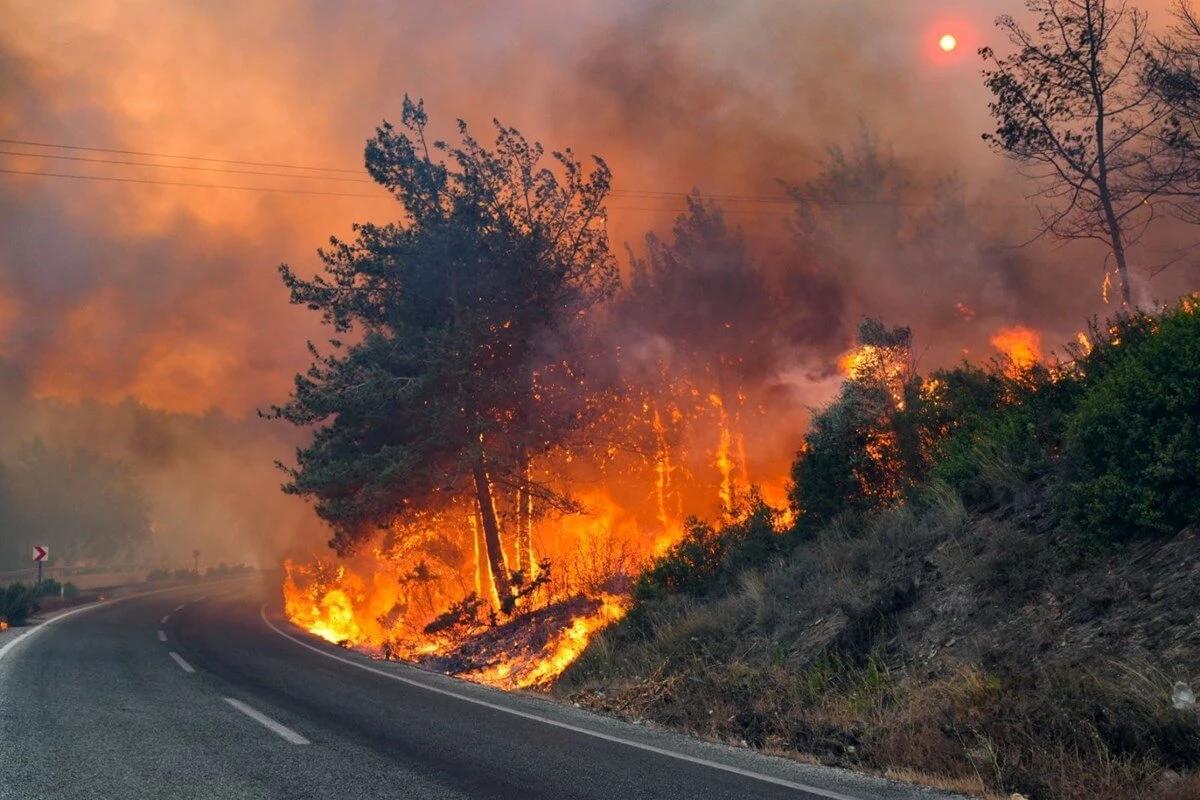 Orman Yangınları İle Mücadele: Afyon’daki Toplantı